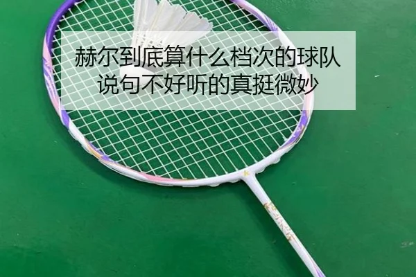 he-er-dao-di-suan-shen-me-dang-ci-de-qiu-dui-shuo-ju-bu-hao-ting-de-zhen-ting-wei-miao-2-541.jpg
