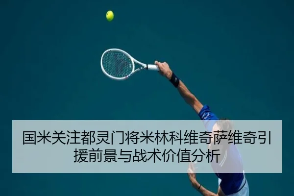国米关注都灵门将米林科维奇萨维奇引援前景与战术价值分析