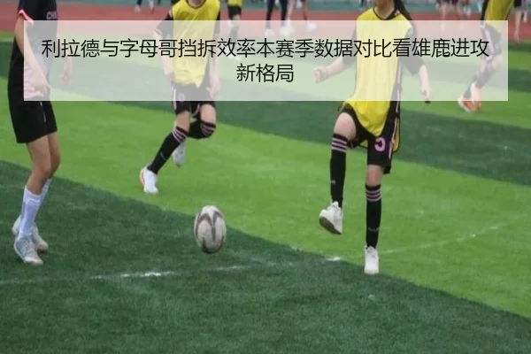 img_1781736875442_3141_1_430.jpg
